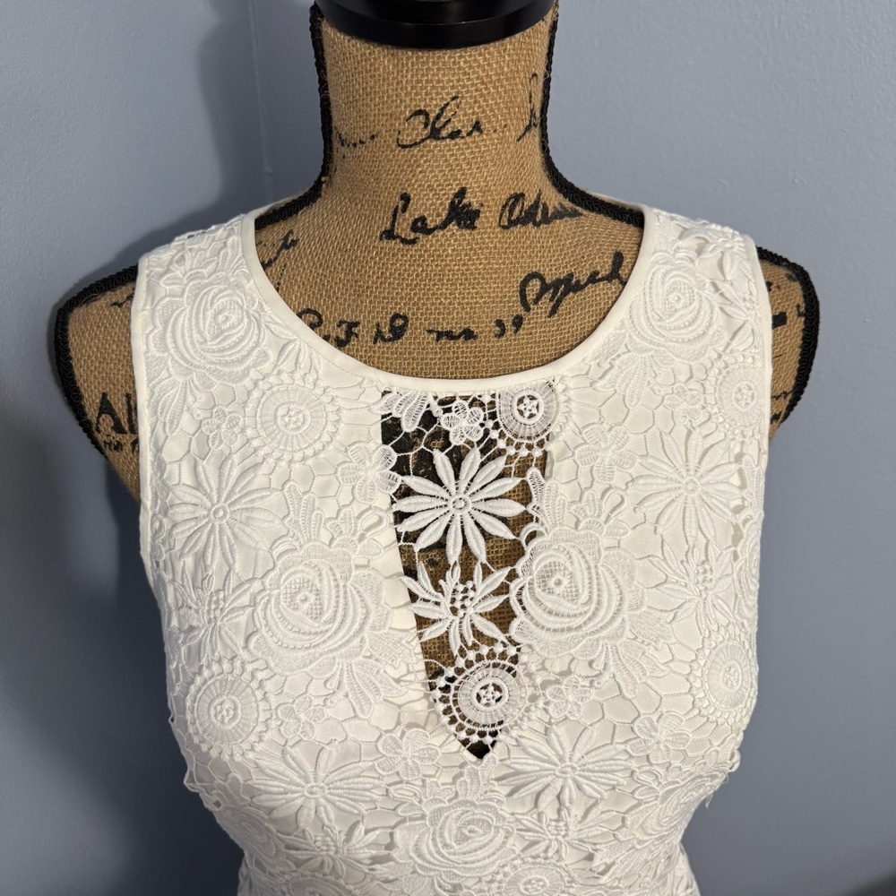 WHBM Floral Lace Dress - Picture 13 of 16